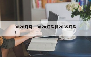 3020灯珠，3020灯珠和2835灯珠！