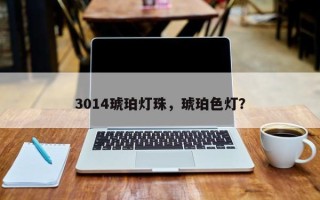 3014琥珀灯珠，琥珀色灯？