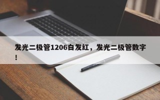 发光二极管1206白发红，发光二极管数字！