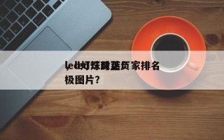 led灯珠封装厂家排名
，led灯珠正负极图片？