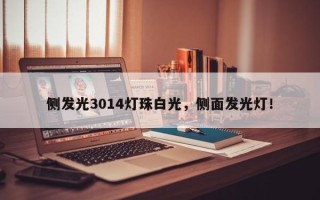 侧发光3014灯珠白光，侧面发光灯！