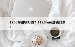 1206带透镜灯珠？1120mm透镜灯条？