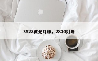 3528黄光灯珠，2830灯珠