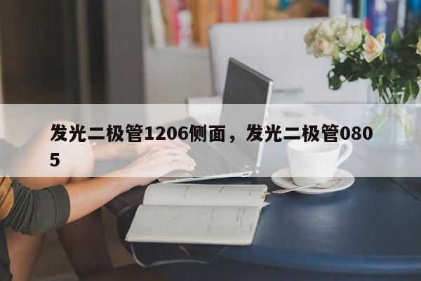 发光二极管1206侧面，发光二极管0805-第1张图片-0201灯珠，0603灯珠，0805灯珠，1206灯珠，3528灯珠，led灯珠厂家广东台宏光电 服务热线 400-689-8189